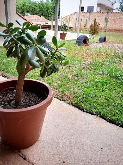 Estalagem Cafezal - Loft Mundo Novo *